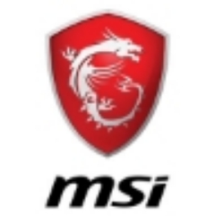 <p>MSI</p>